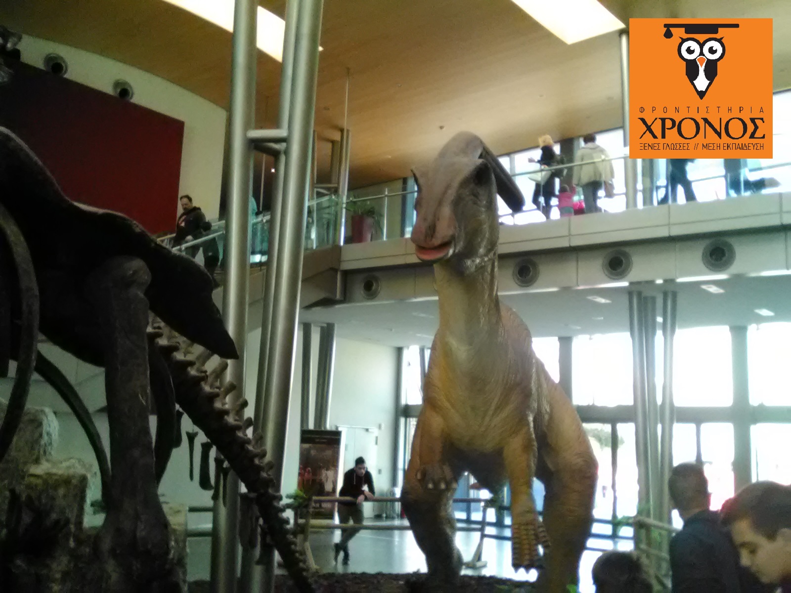 Οι μαθητές μας βρέθηκαν «Στην Χώρα των Δεινοσαύρων»